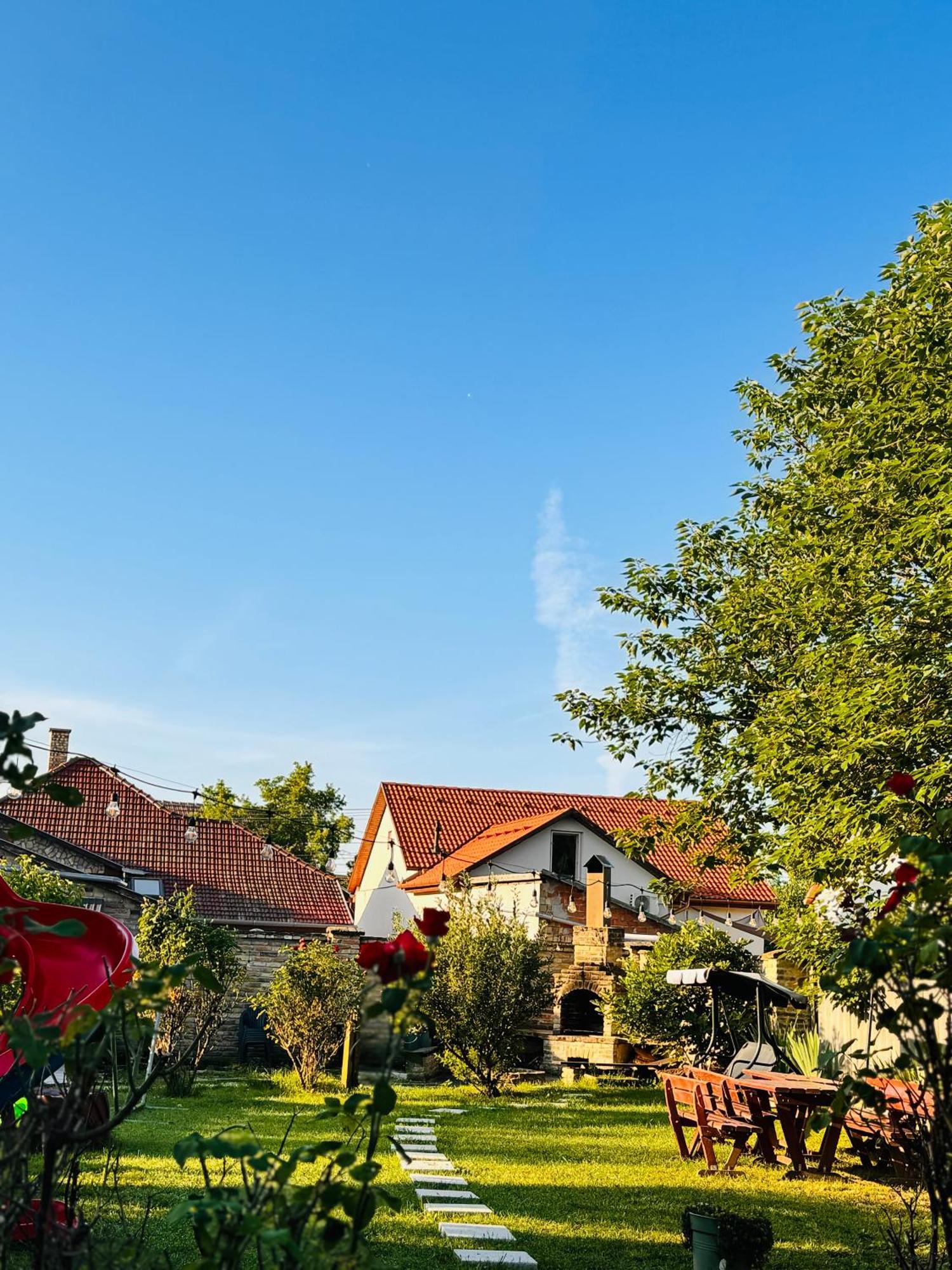 Pensiunea Schwartzy Hotel Makó Buitenkant foto