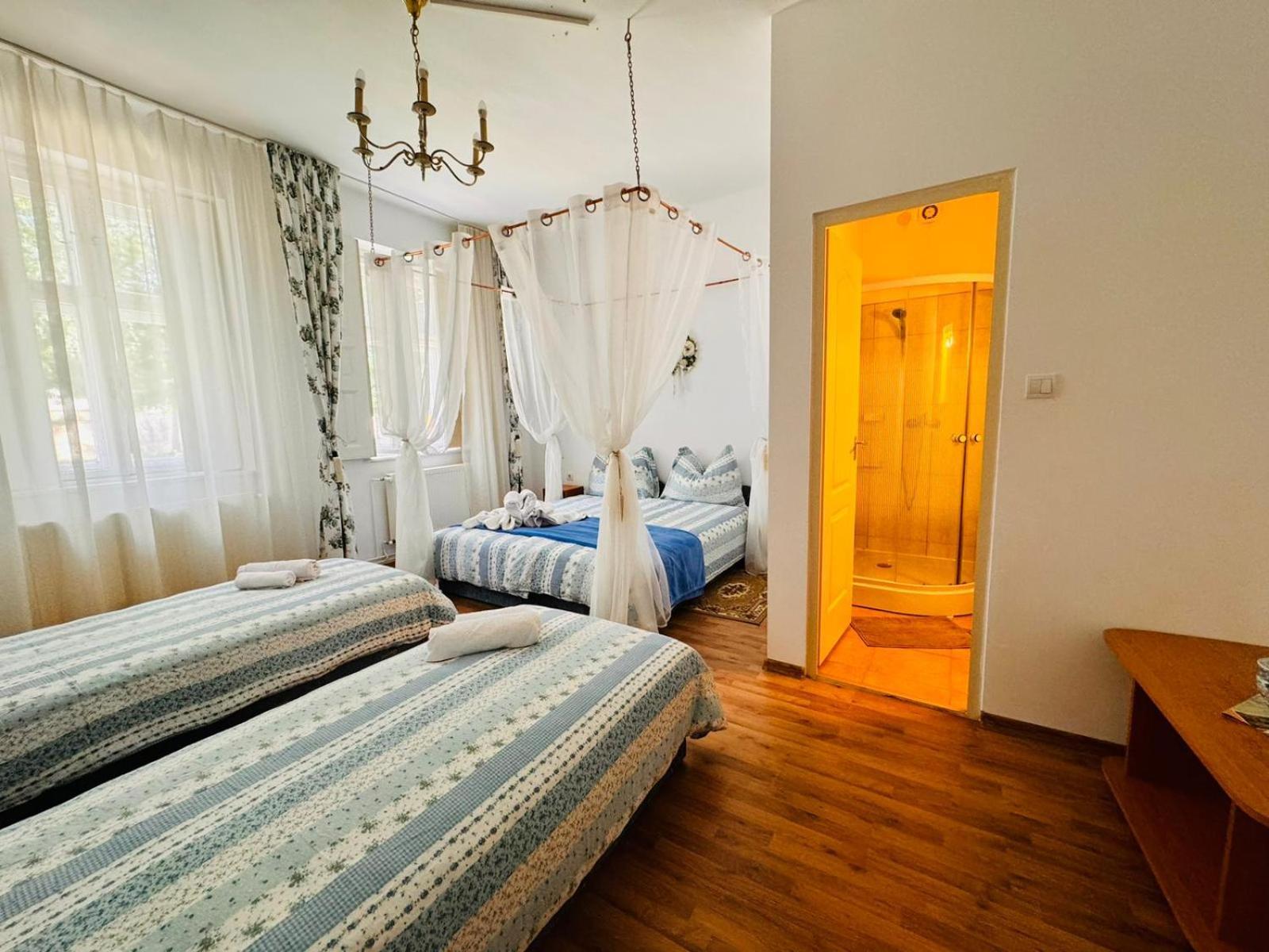 Pensiunea Schwartzy Hotel Makó Buitenkant foto