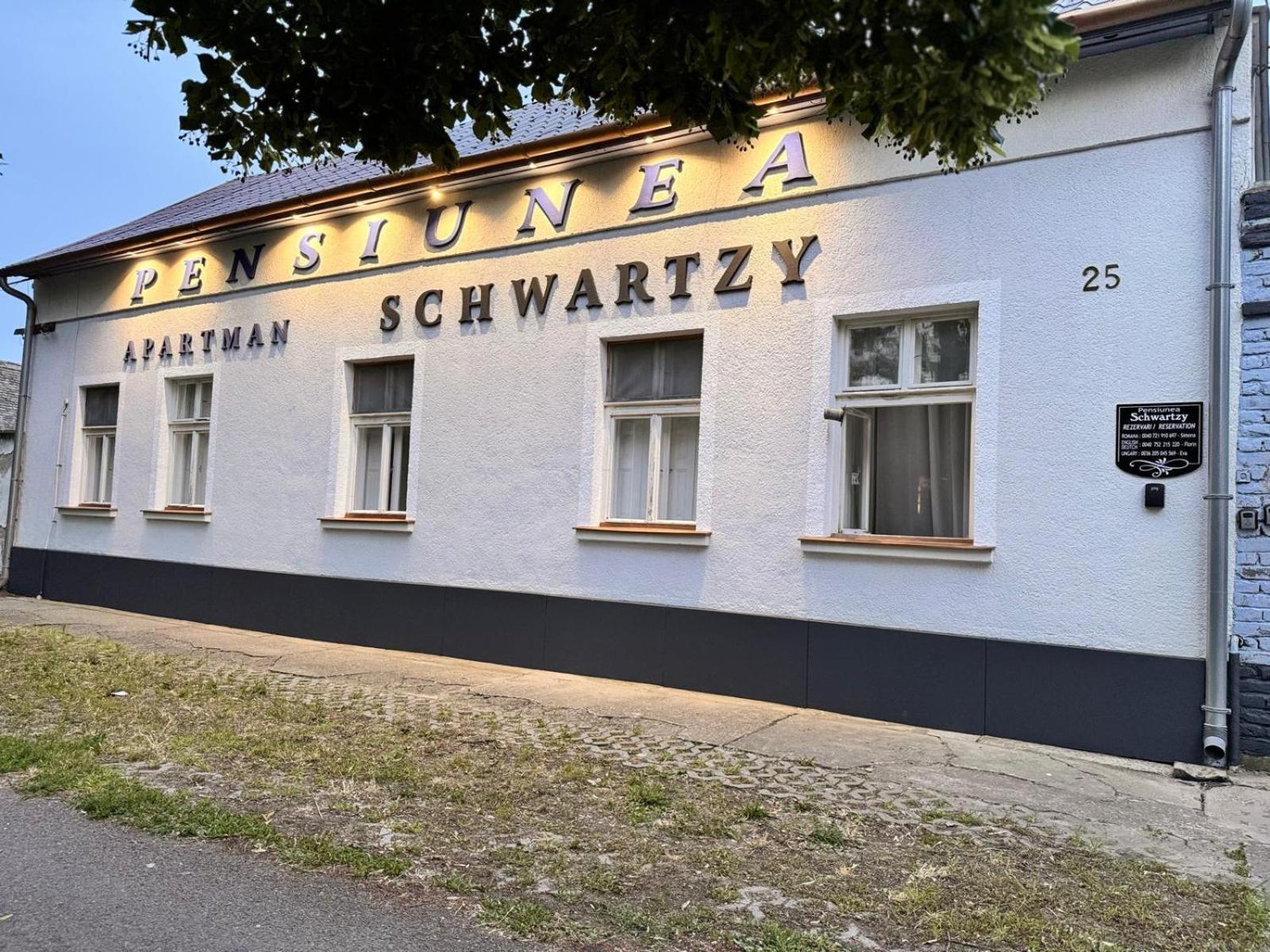 Pensiunea Schwartzy Hotel Makó Buitenkant foto