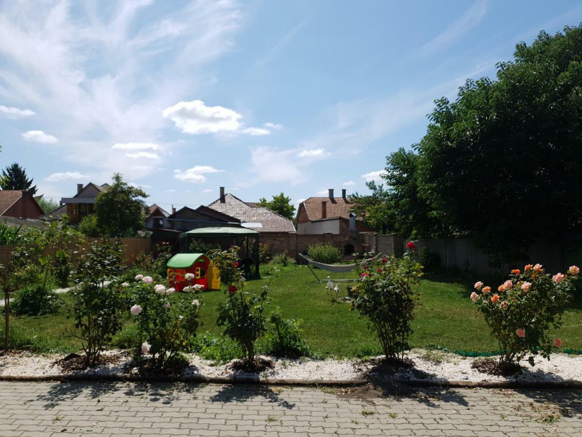 Pensiunea Schwartzy Hotel Makó Buitenkant foto